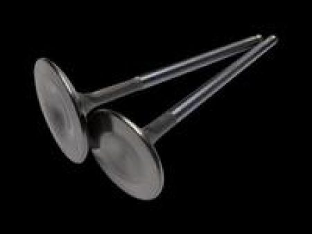 Brian Crower VW Audi 1.8T 29.9mm Exhaust Valves For Cheap